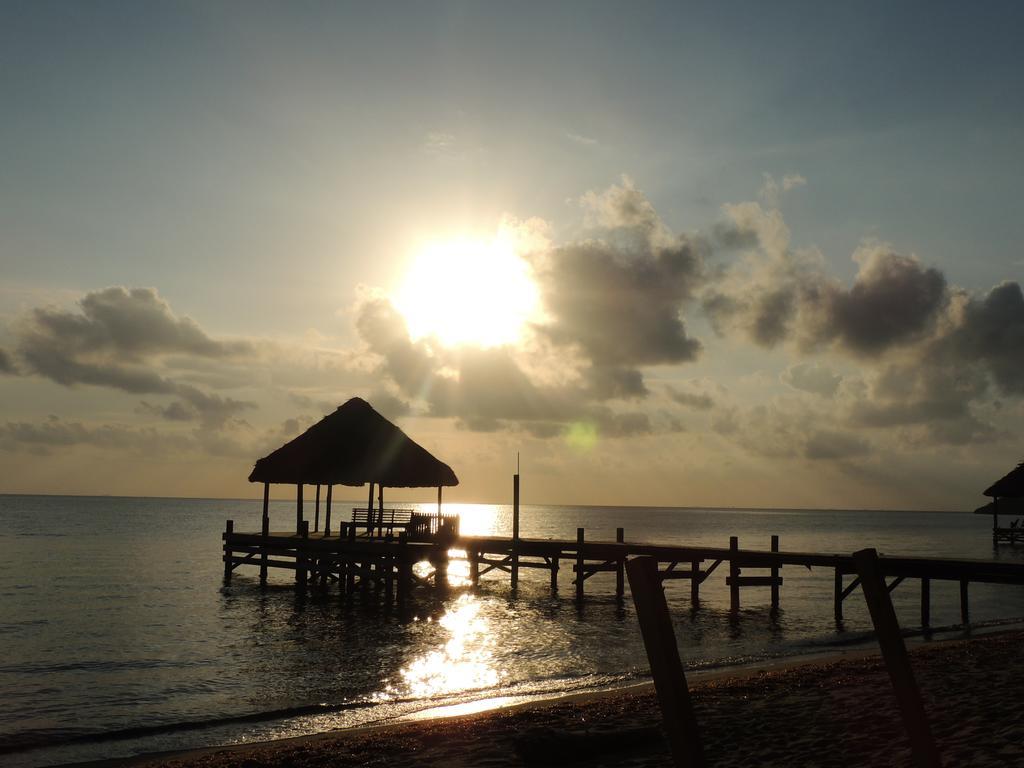 הופקינס Parrot Cove Lodge מראה חיצוני תמונה