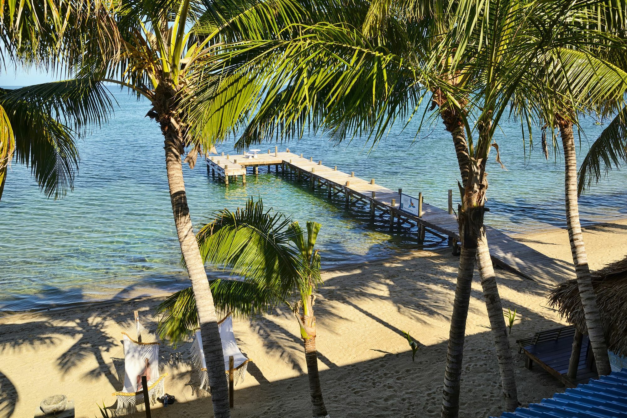 הופקינס Parrot Cove Lodge מראה חיצוני תמונה